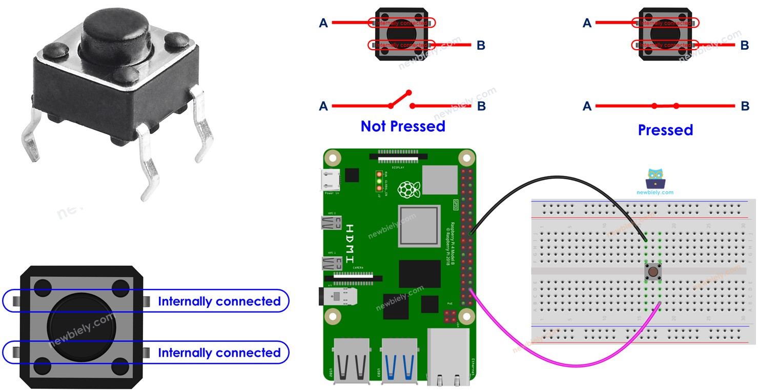 Raspberry Pi nút nhấn