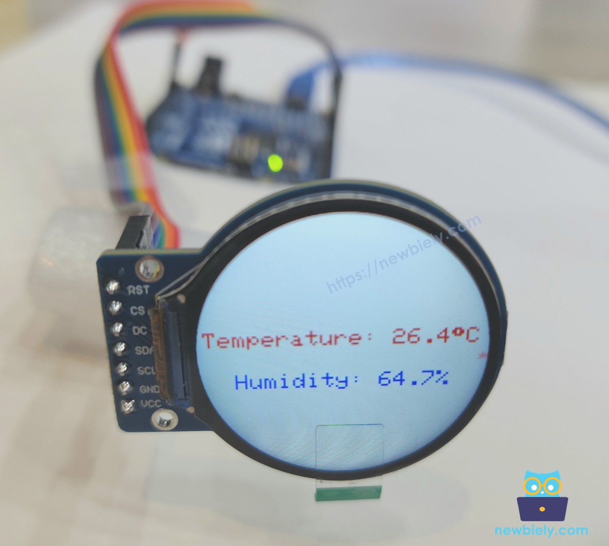 Arduino UNO R4 round circular tft lcd màn hình screen show text and number