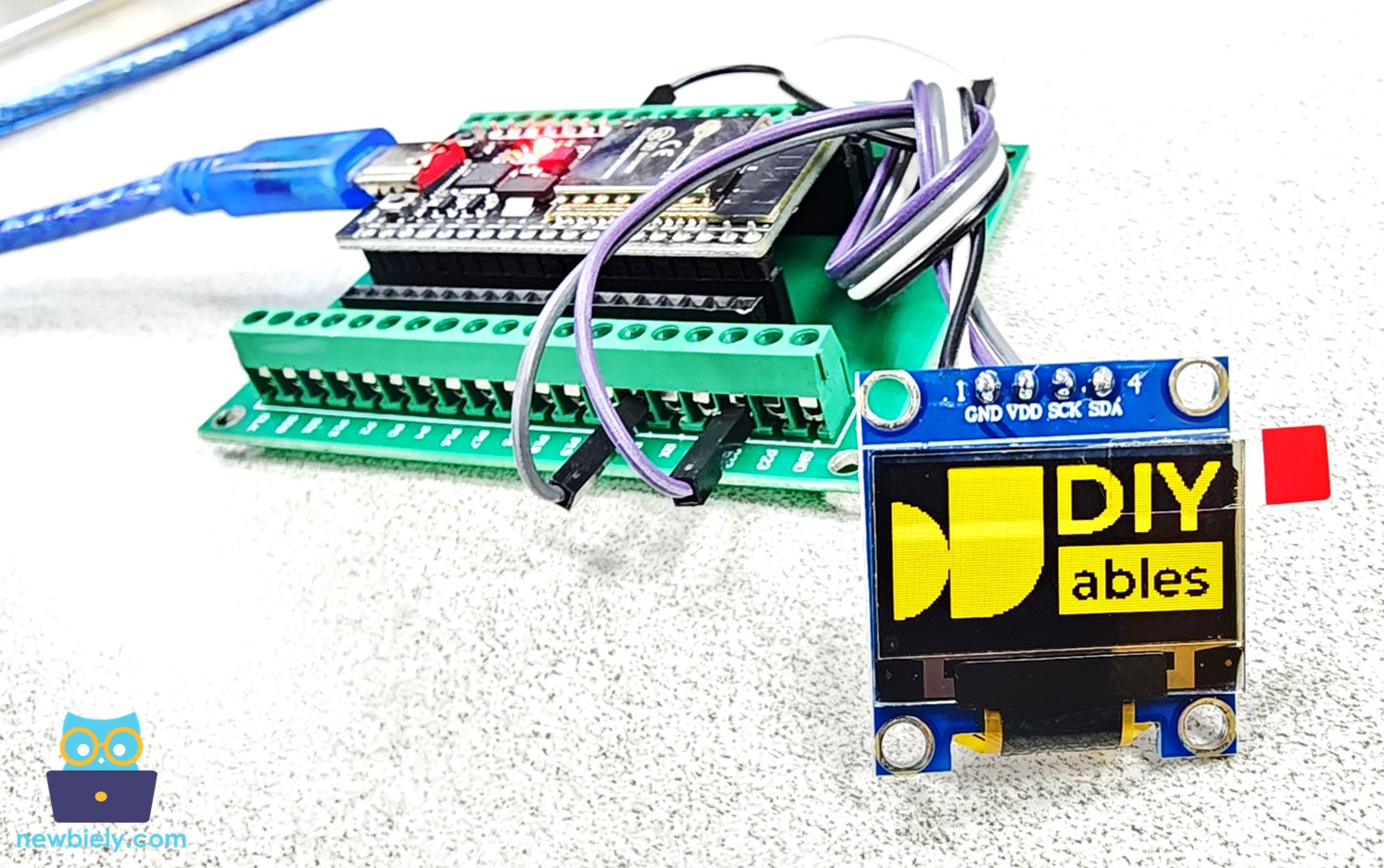 ESP32 màn hình image on oLED