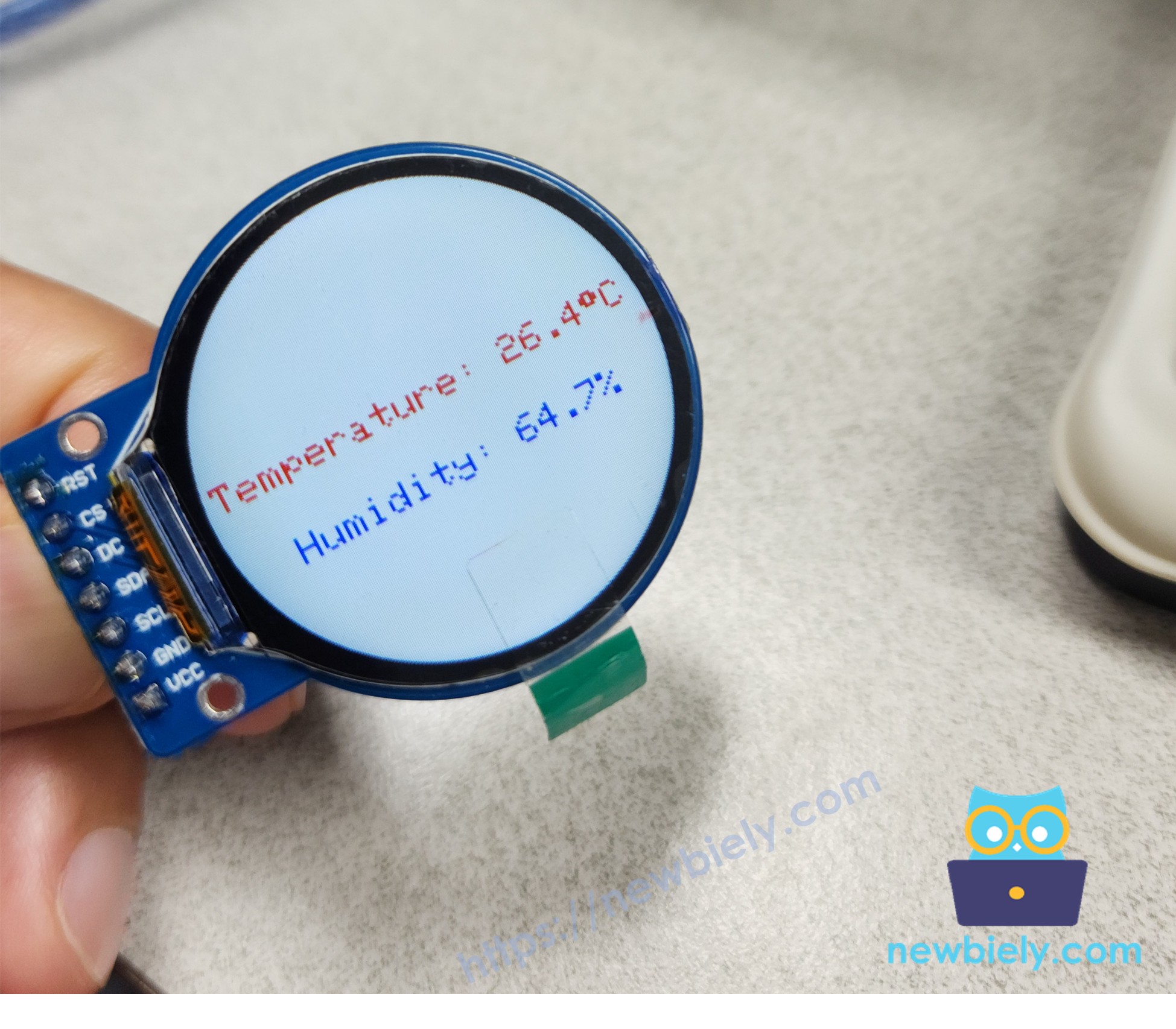 ESP32 round circular tft lcd màn hình screen show text and number