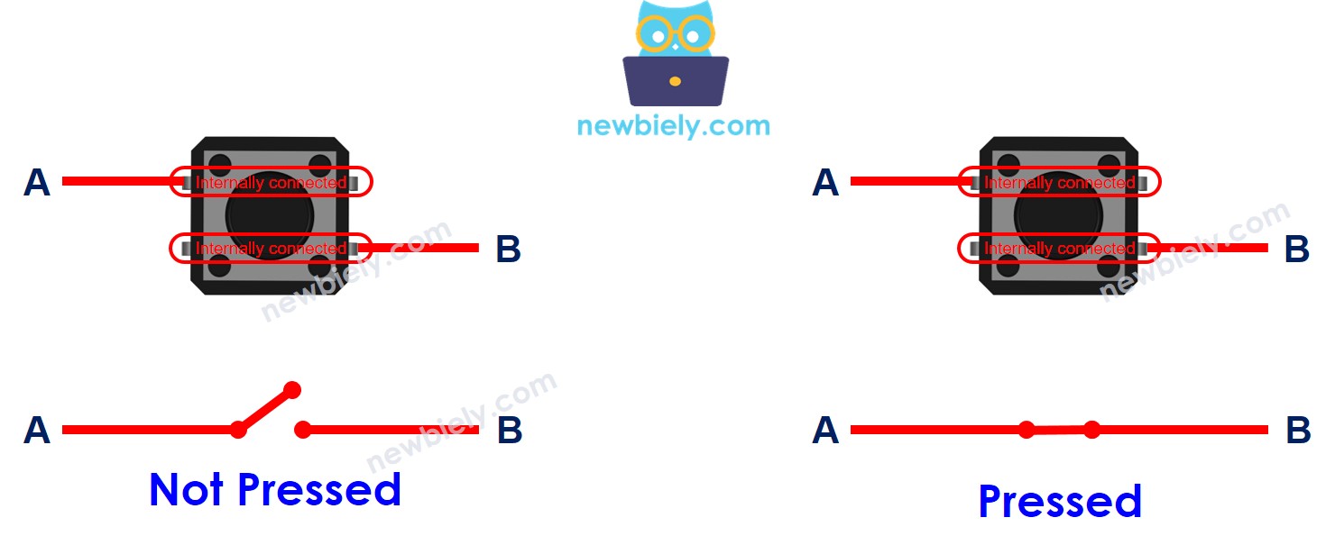 how nút nhấn works