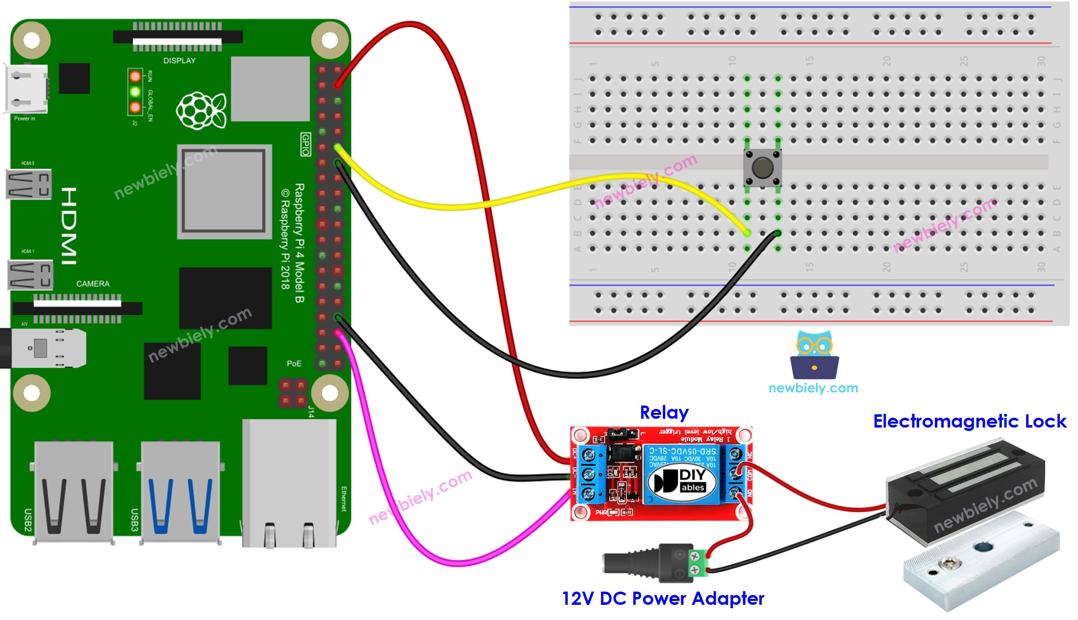 sơ đồ đấu nối Raspberry Pi nút nhấn electromagnetic lock