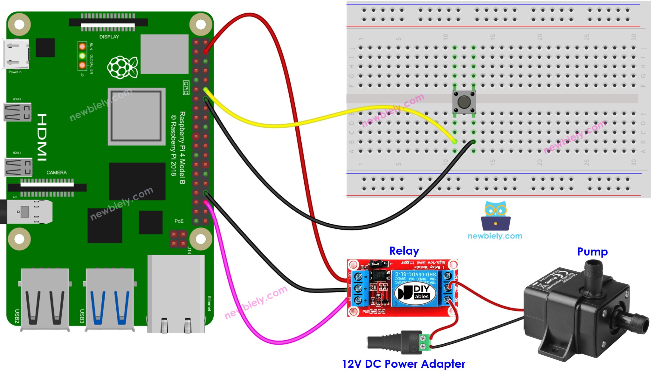 sơ đồ kết nối Raspberry Pi nút nhấn điều khiển pump