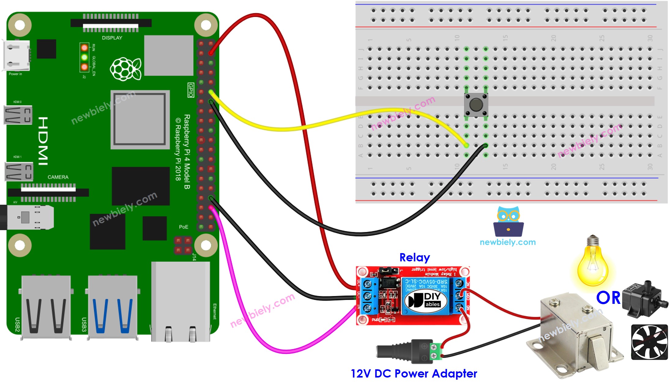 sơ đồ kết nối Raspberry Pi nút nhấn rơ le