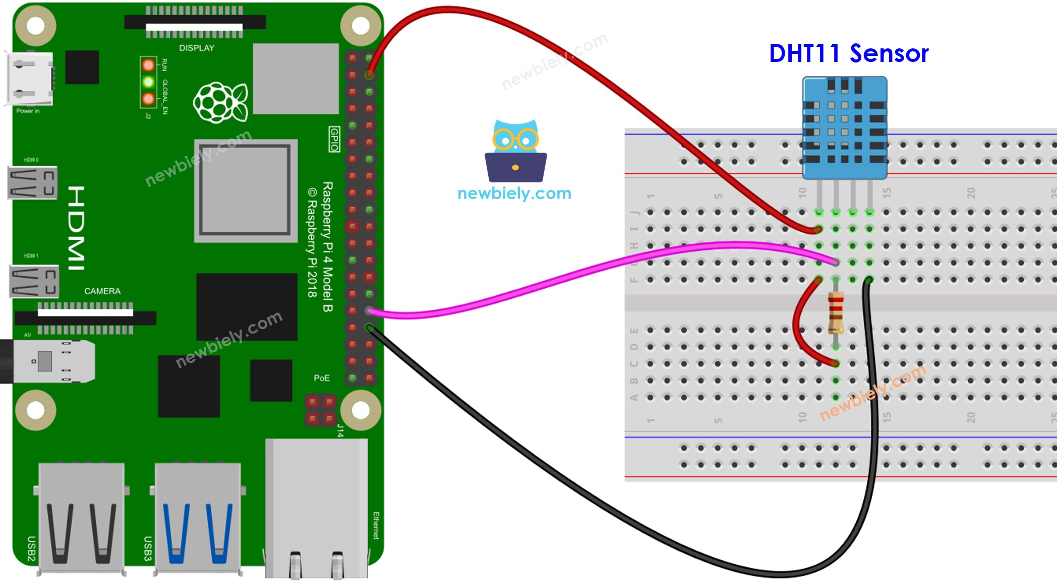 Raspberry Pi dht11 temperature and humidity sensor sơ đồ đấu dây