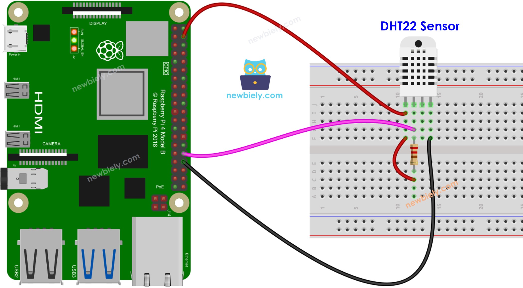 Raspberry Pi dht22 temperature and humidity sensor sơ đồ đấu dây