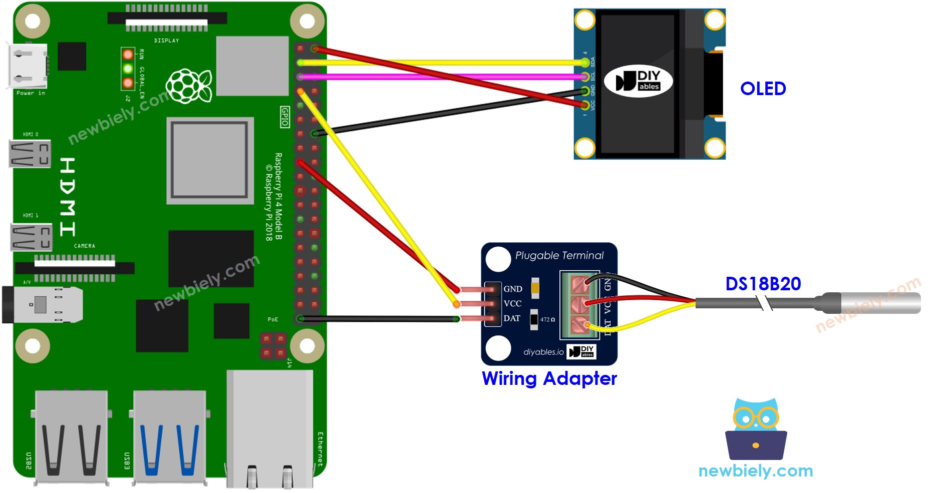 sơ đồ kết nối Raspberry Pi ds18b20 cảm biến nhiệt độ oLED