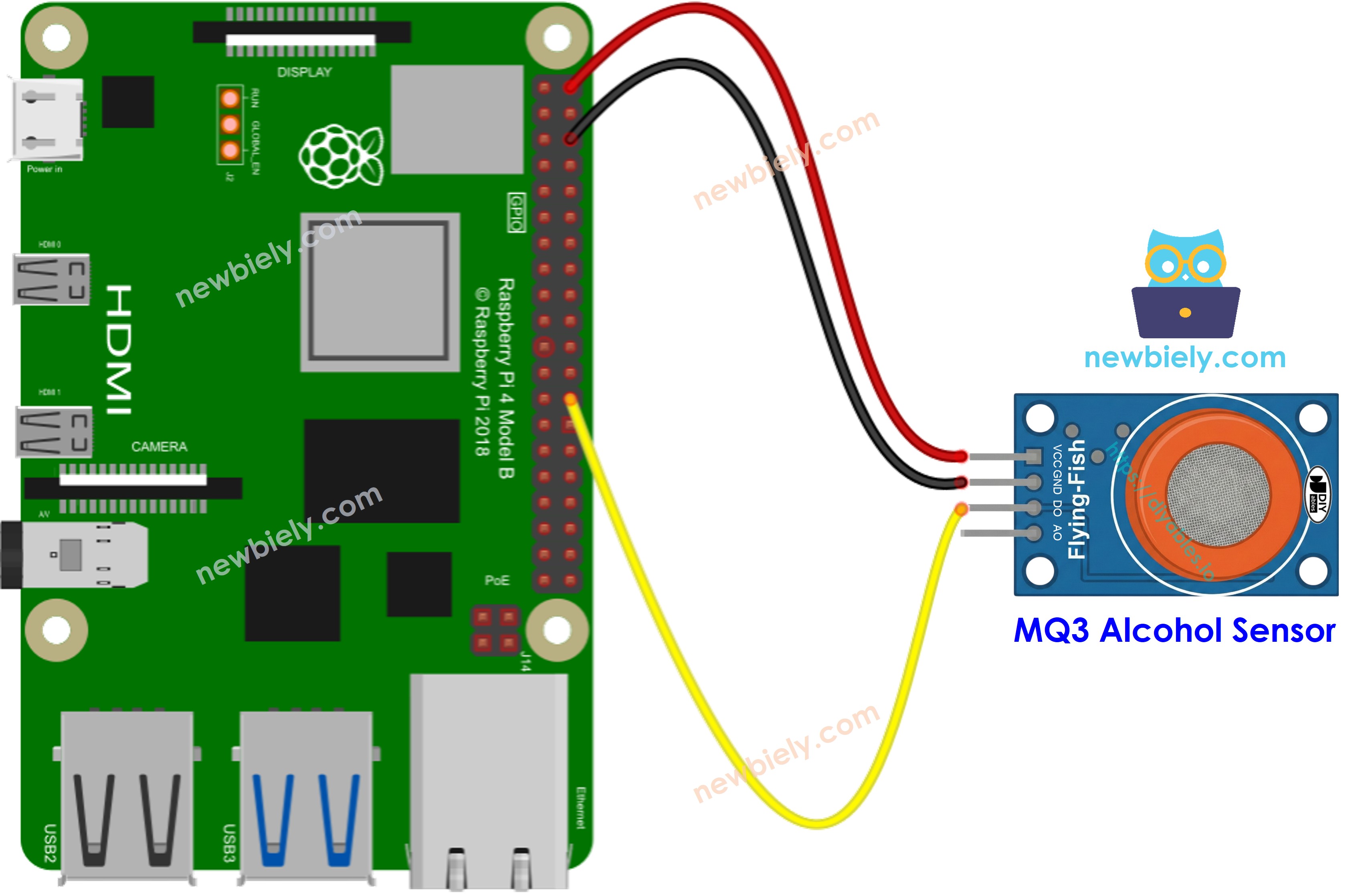 Raspberry Pi mq3 alcohol sensor sơ đồ đấu dây
