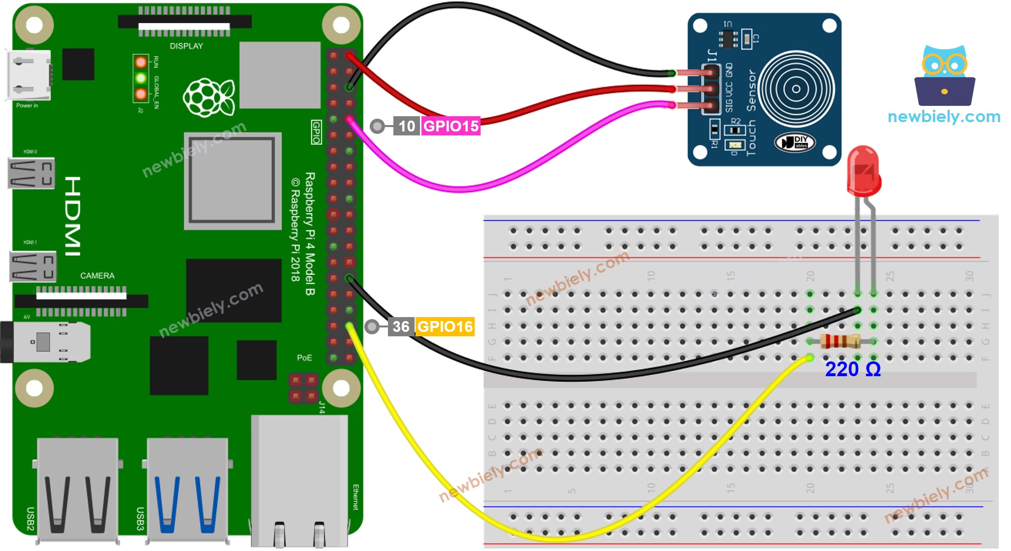 sơ đồ đấu nối Raspberry Pi cảm biến cảm ứng LED
